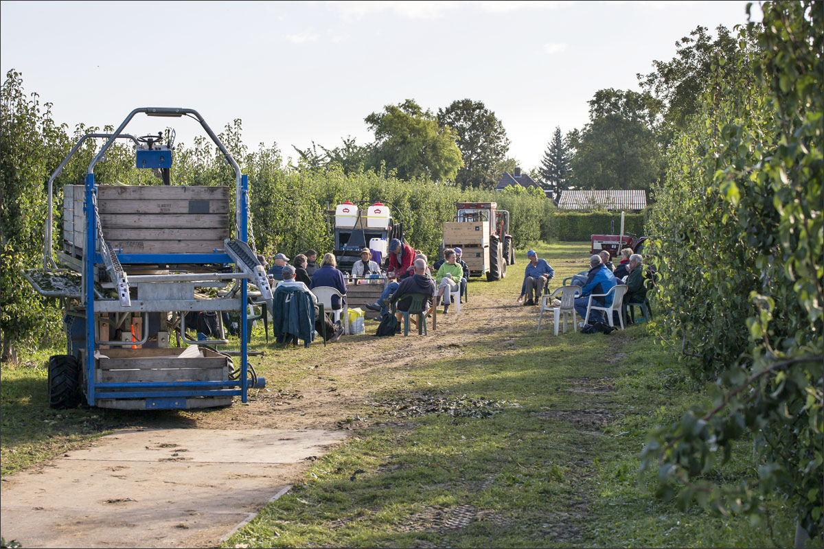 fotografie fruitteelt