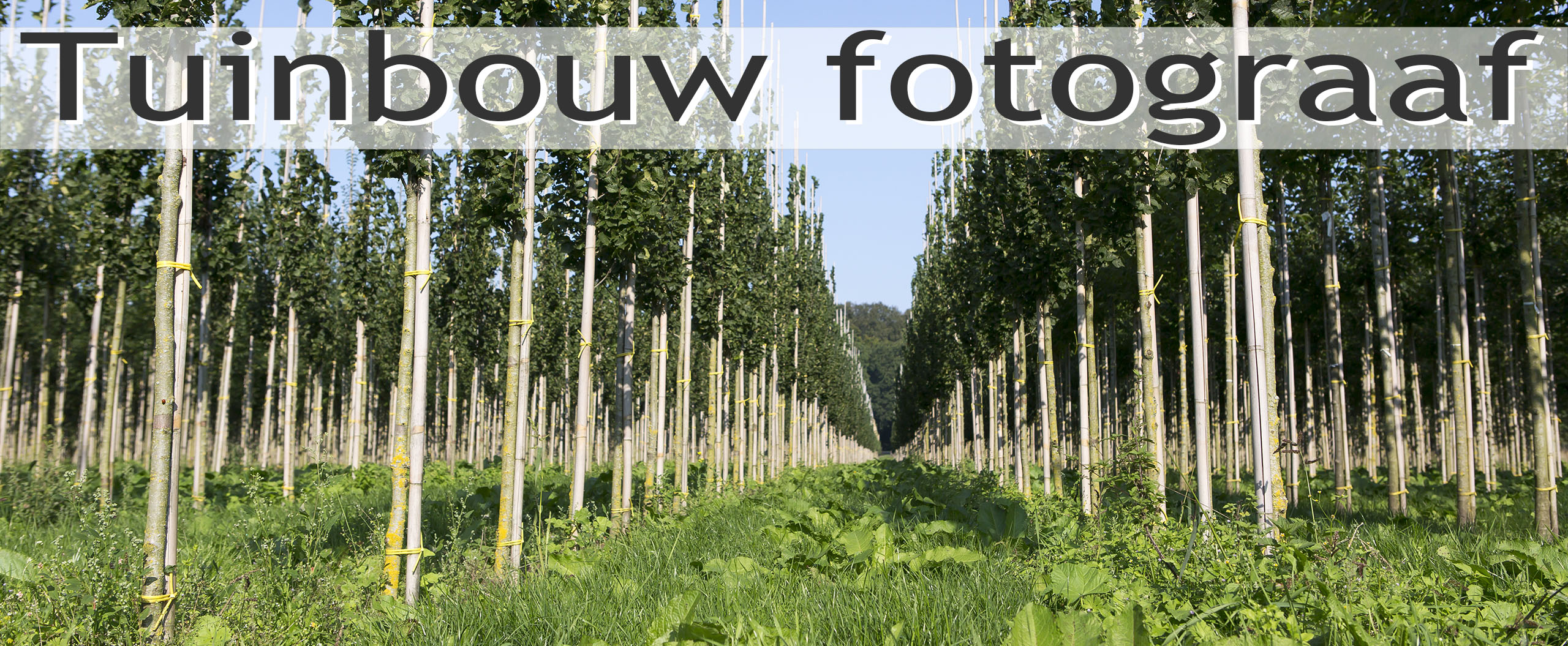 fotograaf tuinbouwsector